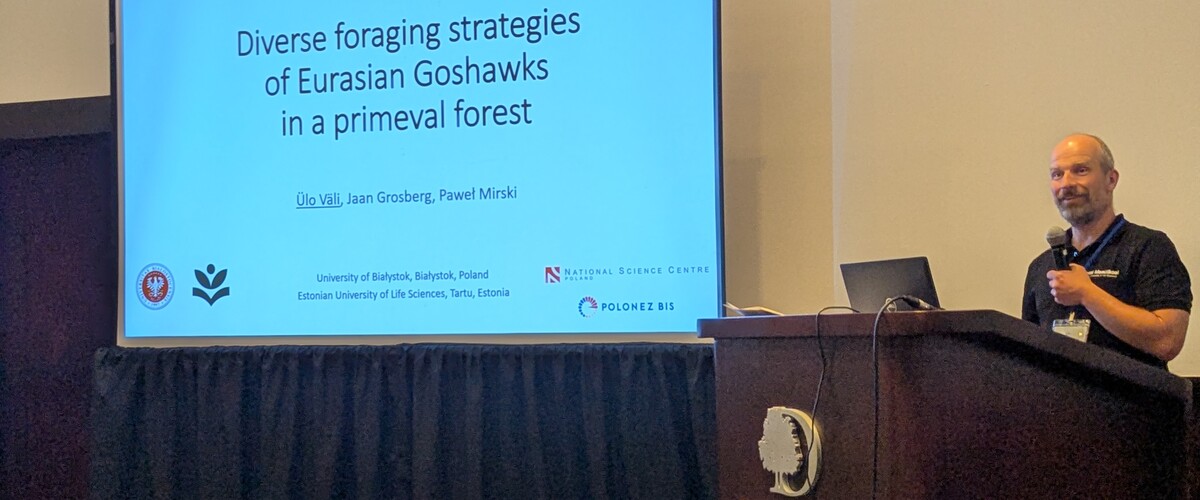 Dr Väli presenting results of the project at Raptor Reseach Foundation Symposium