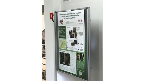 Białowieża Ecology Conference was a great opportunity to present our (preliminary) results to a wider audience for the first time.