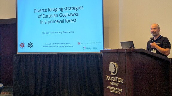 Dr Väli presenting results of the project at Raptor Reseach Foundation Symposium